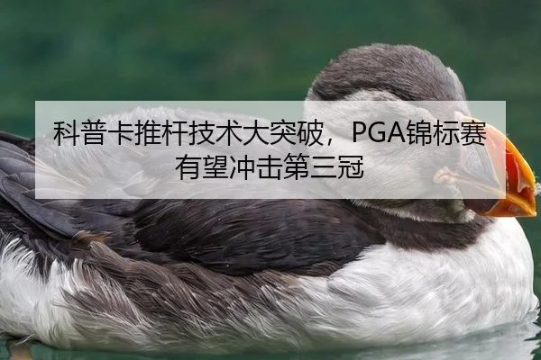 科普卡推杆技术大突破，PGA锦标赛有望冲击第三冠